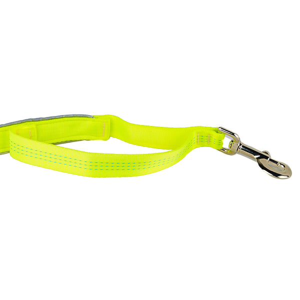 Pro Safety Leash – Spindrift Dog Gear
