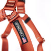 Pro Step-In Harness
