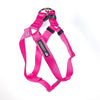 Pro Step-In Harness